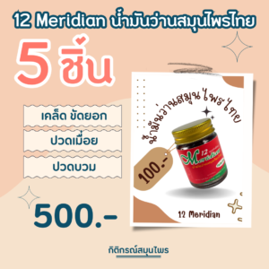 12 Meridian น้ำมันว่านสมุนไพรไทย 5 ชิ้น, 12 Meridian, เคล็ดขัดยอก, ปวดเมื่อย, ปวดบวม