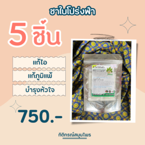 ชาใบโปร่งฟ้า 5 ชิ้น, ชาใบโปร่งฟ้า, แก้ไอ, แก้ภูมิแพ้, บำรุงหัวใจ