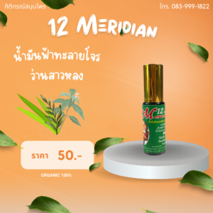 น้ำมันฟ้าทะลายโจร ว่านสาวหลง 12 Meridian